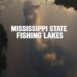 Mississippi's State Fishing Lakes Offer Prime Fishing Spots Looking for your next fishing spot?