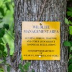 Mississippi WMAs undergo busy summer habitat improvements Photos from Mississippi Department of Wildlife, Fisheries, and Parks's post