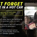 US Weather Service Warns About Dangers of Leaving Children and Pets in Vehicles Photos from US National Weather Service Memphis Tennessee's post