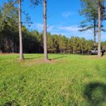 Mississippi wildlife officials emphasize patience in habitat management Photos from Mississippi Department of Wildlife, Fisheries, and Parks's post