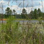 Mississippi offers shooting facilities to prepare for bird hunting season The best bird hunts start long before opening day