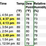 What is dewpoint? Meteorologists explain the concept Meteorologists often talk about the "dewpoint", but what is it?