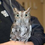 Photos from Mississippi Department of Wildlife, Fisheries, and Parks's post
