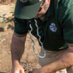 Mississippi joins national dove banding effort to monitor populations Photos from Mississippi Department of Wildlife, Fisheries, and Parks's post