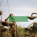 Mississippi prepares for dove hunting season with updated regulations Photos from Mississippi Department of Wildlife, Fisheries, and Parks's post