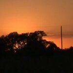 Mississippi dove season opens with hunt in Hinds County This is how you kick off dove season