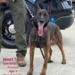 Mississippi Capitol Police honor K-9 officers for National Dog Month Photos from Mississippi Department of Public Safety (Official)'s post