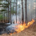 Mississippi Prescribed Fire Council opens registration for biennial meeting Registration is now open for the Mississippi Prescribed Fire Council Biennial Membership Meeting!