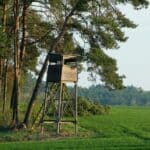 The 5 Best Climbing Tree Stands for Alcorn County Bow Season A wooden hunting stand raised under pine trees in a lush green forest during the day