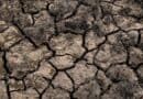 Alcorn County Drought Worsens as Storms Return Friday Dry cracked earth illustrating the Alcorn County drought