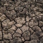 Alcorn County Drought Worsens as Storms Return Friday Dry cracked earth illustrating the Alcorn County drought