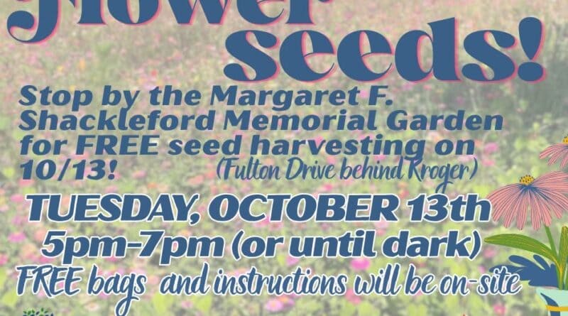Flyer for free Corinth wildflower seeds harvest at the Margaret F. Shackleford Memorial Garden on Oct. 13