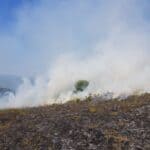 Highway 30 Fires Out Near Paden; Road Reopens Smoke rising over charred ground after a grass fire, illustrating the Highway 30 fires near Paden