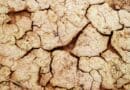 Isaias Rain Falls Short in Corinth as Record Heat Returns Cracked dry ground in drought, illustrating how little Isaias rain fell in Corinth