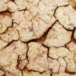 Isaias Rain Falls Short in Corinth as Record Heat Returns Cracked dry ground in drought, illustrating how little Isaias rain fell in Corinth